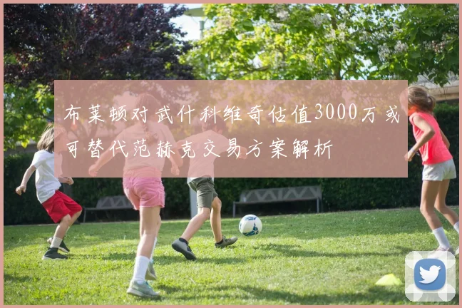 布莱顿对武什科维奇估值3000万或可替代范赫克交易方案解析