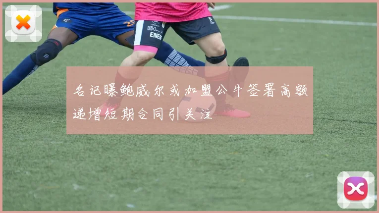 名记曝鲍威尔或加盟公牛签署高额递增短期合同引关注
