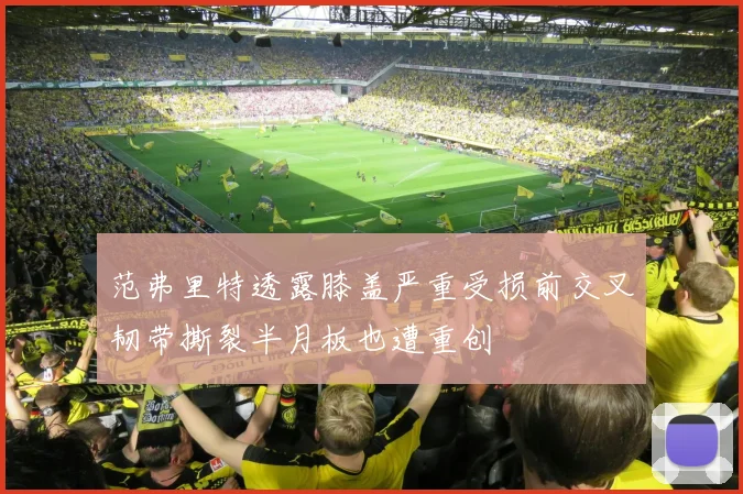 范弗里特透露膝盖严重受损前交叉韧带撕裂半月板也遭重创